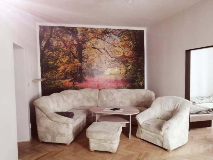 Penzion U Trojice Červená Voda Esterno foto